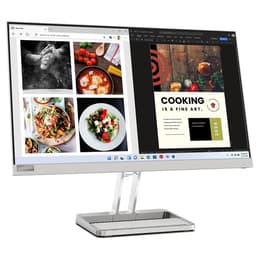 21-inch Lenovo L24I-40 1920 x 1080 LED Monitor Grey